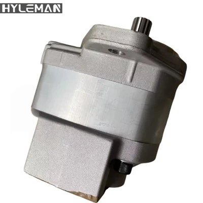 D85 Hydraulikpumpe Gear Pilotpumpe
